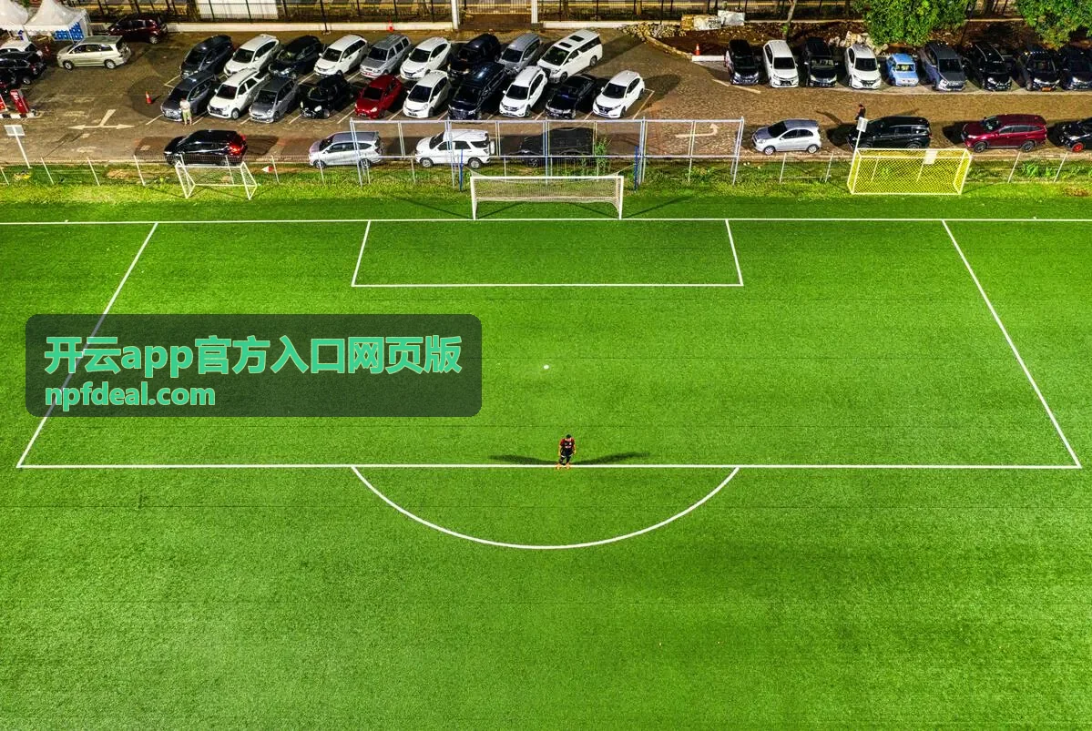 开云app官方入口网页版移动端适配通道封面