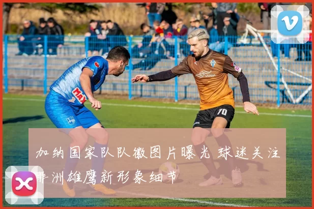 加纳国家队队徽图片曝光 球迷关注非洲雄鹰新形象细节