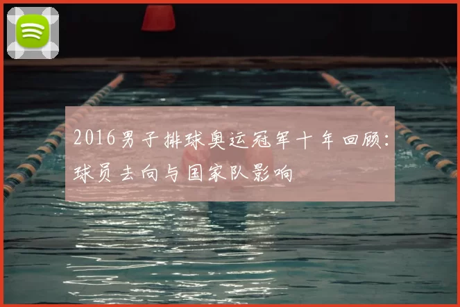 2016男子排球奥运冠军十年回顾：球员去向与国家队影响