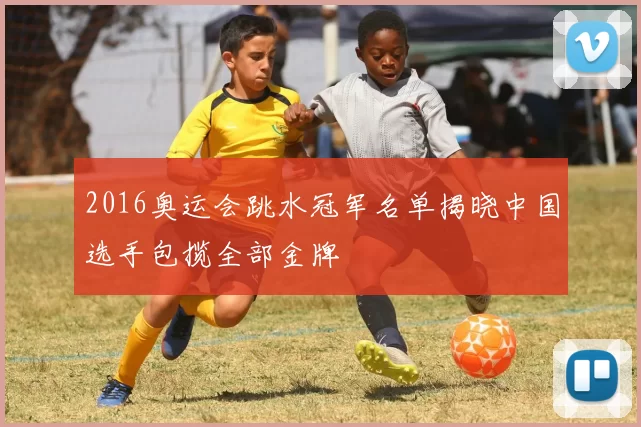 2016奥运会跳水冠军名单揭晓中国选手包揽全部金牌