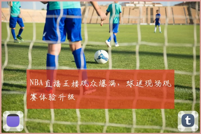 NBA直播五楼观众爆满，球迷现场观赛体验升级